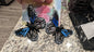 Butterfly Earrings